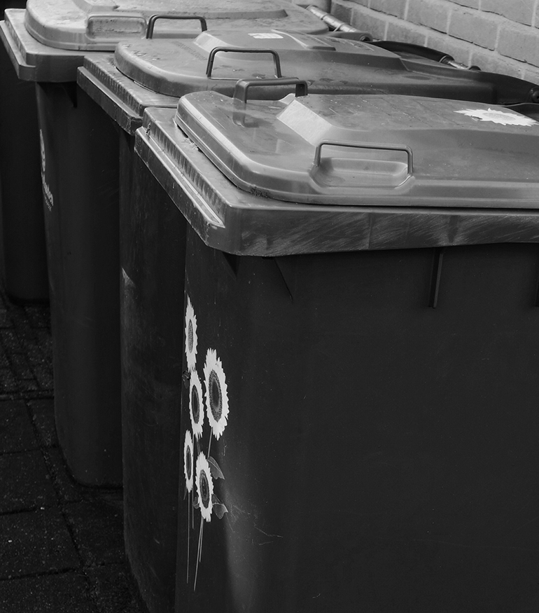 enviromental services